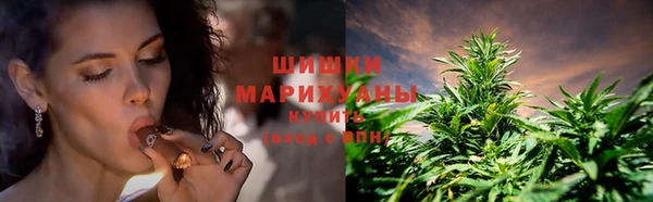 прущие крисы Михайловск