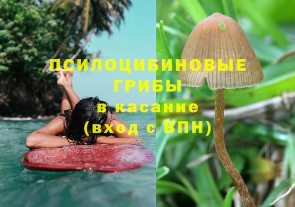 mdpv Михайлов