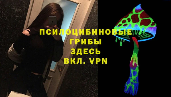 мяу мяу мука Михайловка