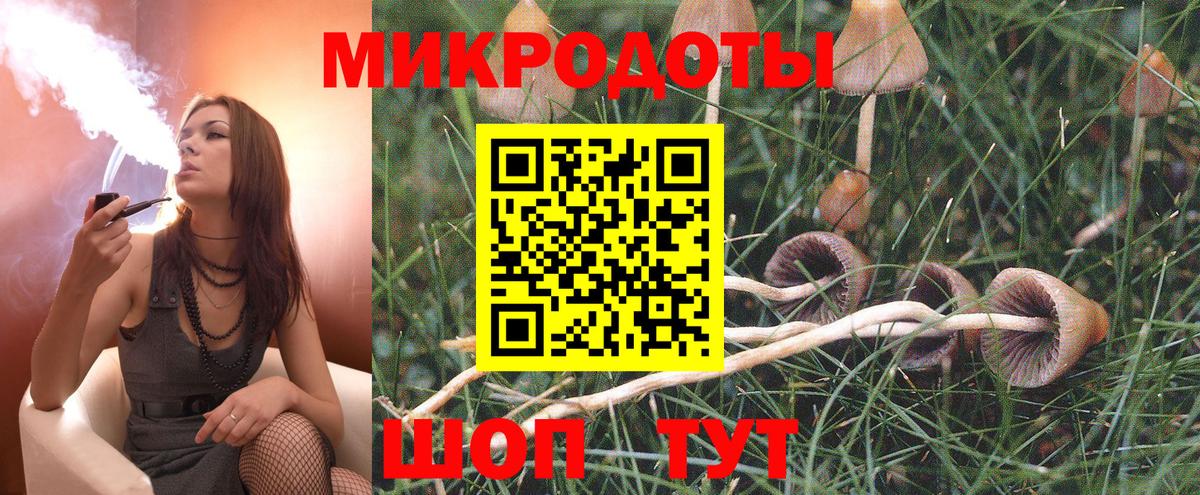 Егорьевск  что такое   Вход с VPN  Галлюциногенные грибы Psilocybine cubensis 